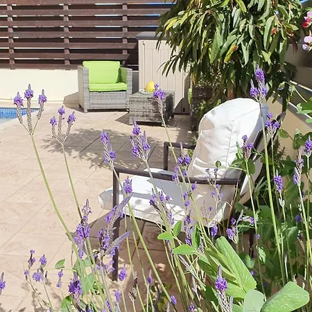 Hotel Dafni 12 Paralimni